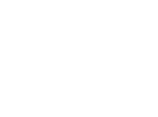 Logo Old Design